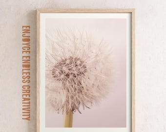 Pink Dandelion Fine Art Print: Minimal Botanical Photography (Instant Download)