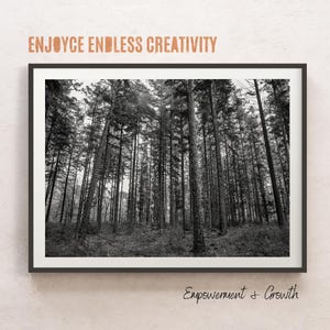 Tall Trees Black and White Photography – Forest Fine Art Print for Strength and Growth – Minimal Nature Wall Art – Instant Download