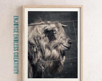 Moody Goat Photography Print – Dutch Animal Fine Art Portrait – Bold Printable Wall Art – Rustic Statement – Instant Digital Download