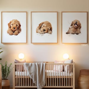 Jongen met goldendoodle-kwekerijprint, goldendoodle-kunstafdrukken voor kinderkamer, slapende hond kunst aan de muur, afdrukbare kunst, kinderkamer kunst aan de muur, honden de