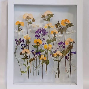 Orange Geum, Purple Wallflower and Sweet Peas, and White Snow in Summer Pressed Flower Spring Garden in 9x11 inch White Floating frame