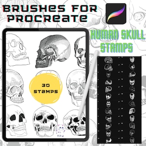 Procreate Brushes Skull Procreate Stamp Brush Pack Skull Tattoo Stencil Procreate Brushes Instant Digital Download Skull Tattoo Stamps