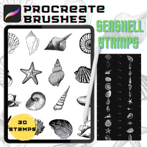 以下が含まれることがあります： Procreateブラシと貝殻スタンプを表示するタブレットのデジタルアートイラスト。タブレット画面には、ヒトデや巻貝など、さまざまな白黒の貝殻のイラストが表示されています。「Seashell Stamps」と「30 Stamps」の文字も表示されています。