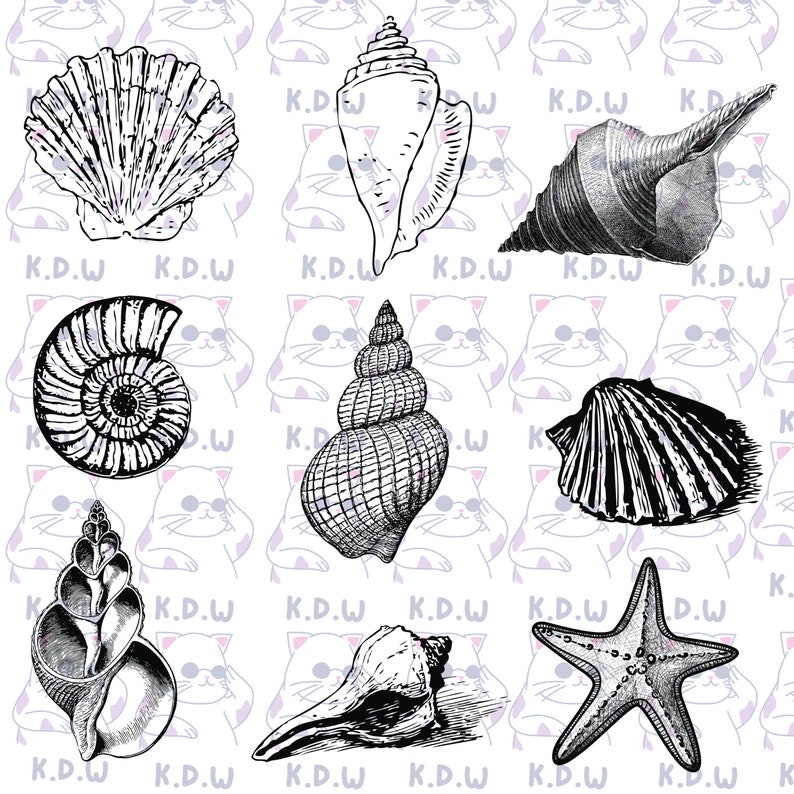 Procreate Brushes Seashell Procreate Stamp Brush Pack Shell Tattoo ...