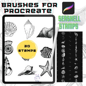 May include: A digital illustration of 30 seashell stamps for Procreate. The image shows a variety of seashells, including a conch shell, a scallop shell, and a starfish. The text "Seashell Stamps" is written in a bold, white font on a black background.