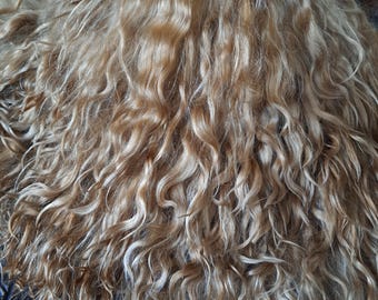 dyed goat hair, goat hair on the skin, natural curls of goats, for handmade dolls hair, mohair for doll, angora curls.//08//