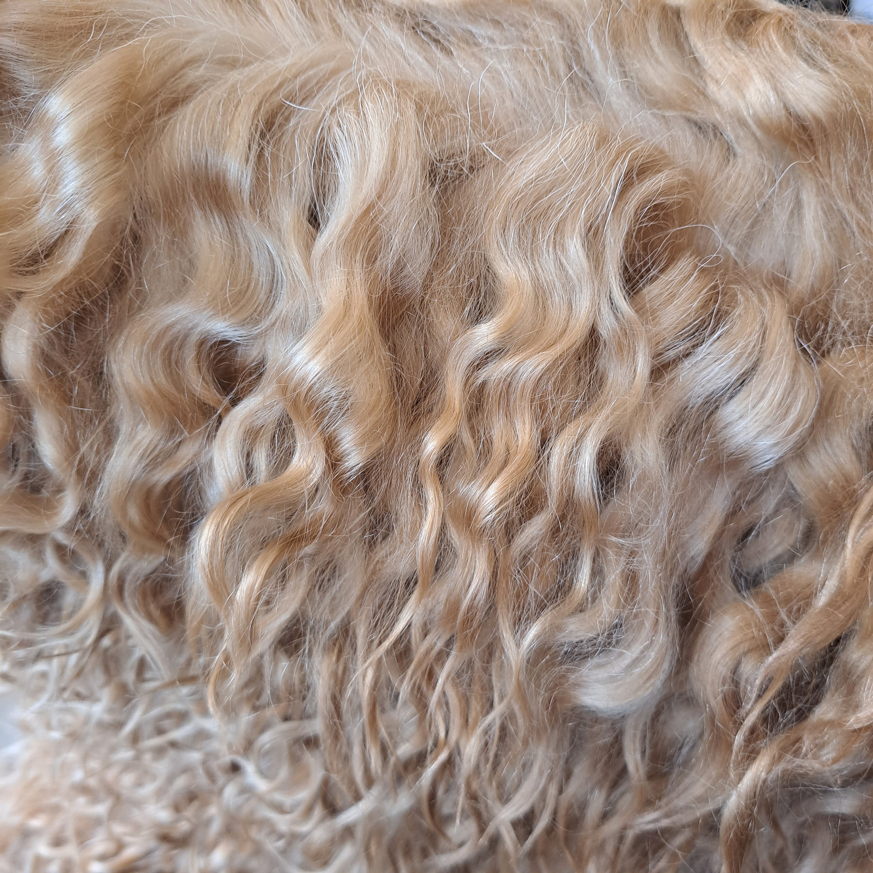 Dyed Goat Hair , Goat Hair on the Skin,natural Curls of Goats, for Handmade Dolls Hair,mohair ...