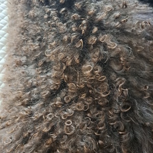 Ziegenhaar auf der Haut, natürliche Locken von Ziegen, für handgefertigte Puppenhaare, Mohair für Puppen, Angoralocken.//03//