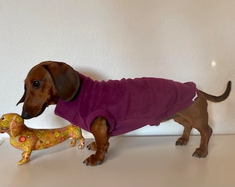 Burgundy jumper for dachshunds with glow-in-the-dark embroidery