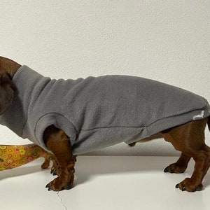 gray jumper for dachshunds with glow-in-the-dark embroidery