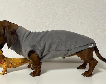 gray jumper for dachshunds with glow-in-the-dark embroidery