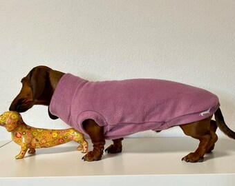 Jersey / suéter lila para Dachshund / Dachshund - con bordado que brilla en la oscuridad