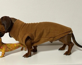 brown jumper for dachshunds with glow-in-the-dark embroidery