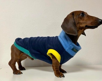 May include: A brown and tan dachshund wearing a blue, yellow, and green fleece dog sweater. The sweater has a blue collar with a green tag that says "Wisco".
