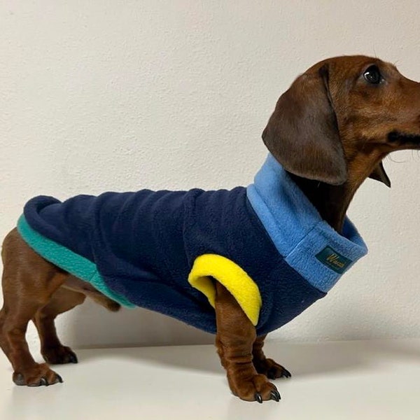 Colorful jumper for dachshunds with individual color selection and personalization options