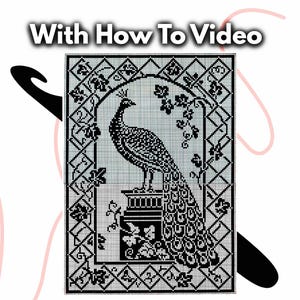 Vintage/Antique Peacock Filet Crochet Design From about 1900 ** 1ST 1O ROWS VIDEO TUTORIAL** pattern:  How to filet crochet