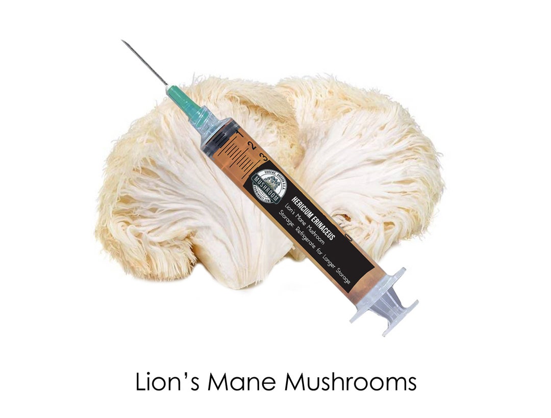 Lion's Mane Liquid Culture Lion Manes Spores Syringe, Mycelium Syringe