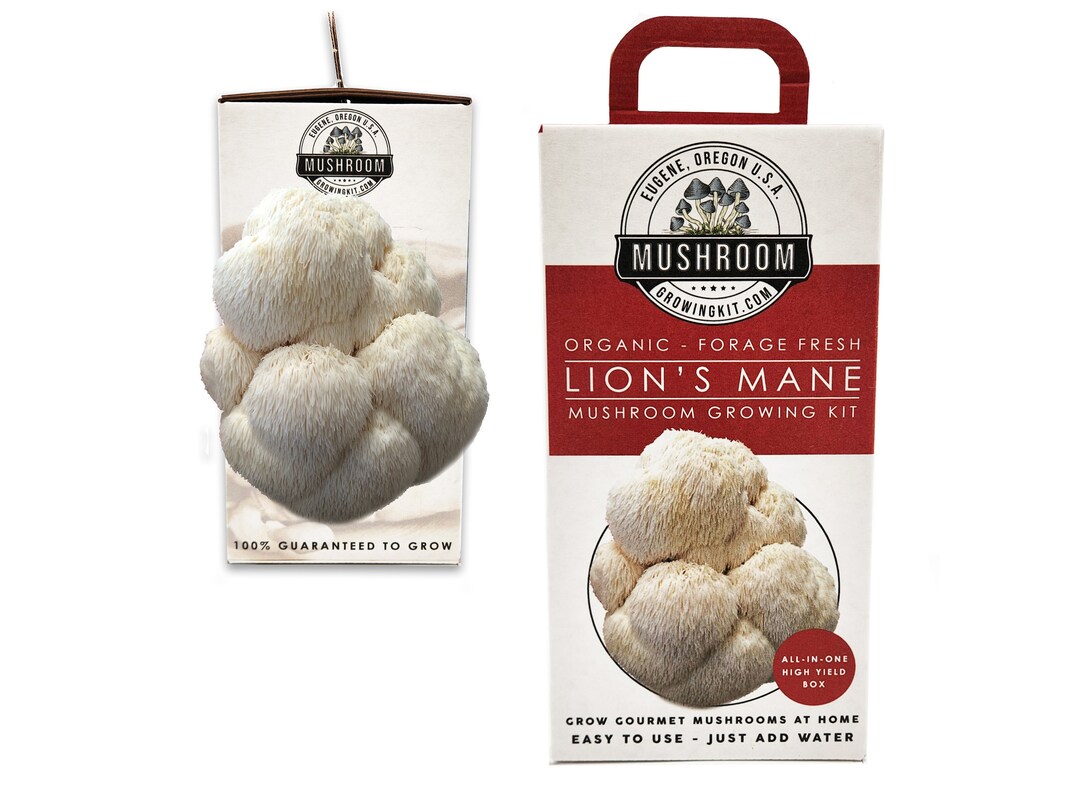 Lion's Mane Grow Kit Lion Manes Spores, Lion Mane Spawn, Sawdust
