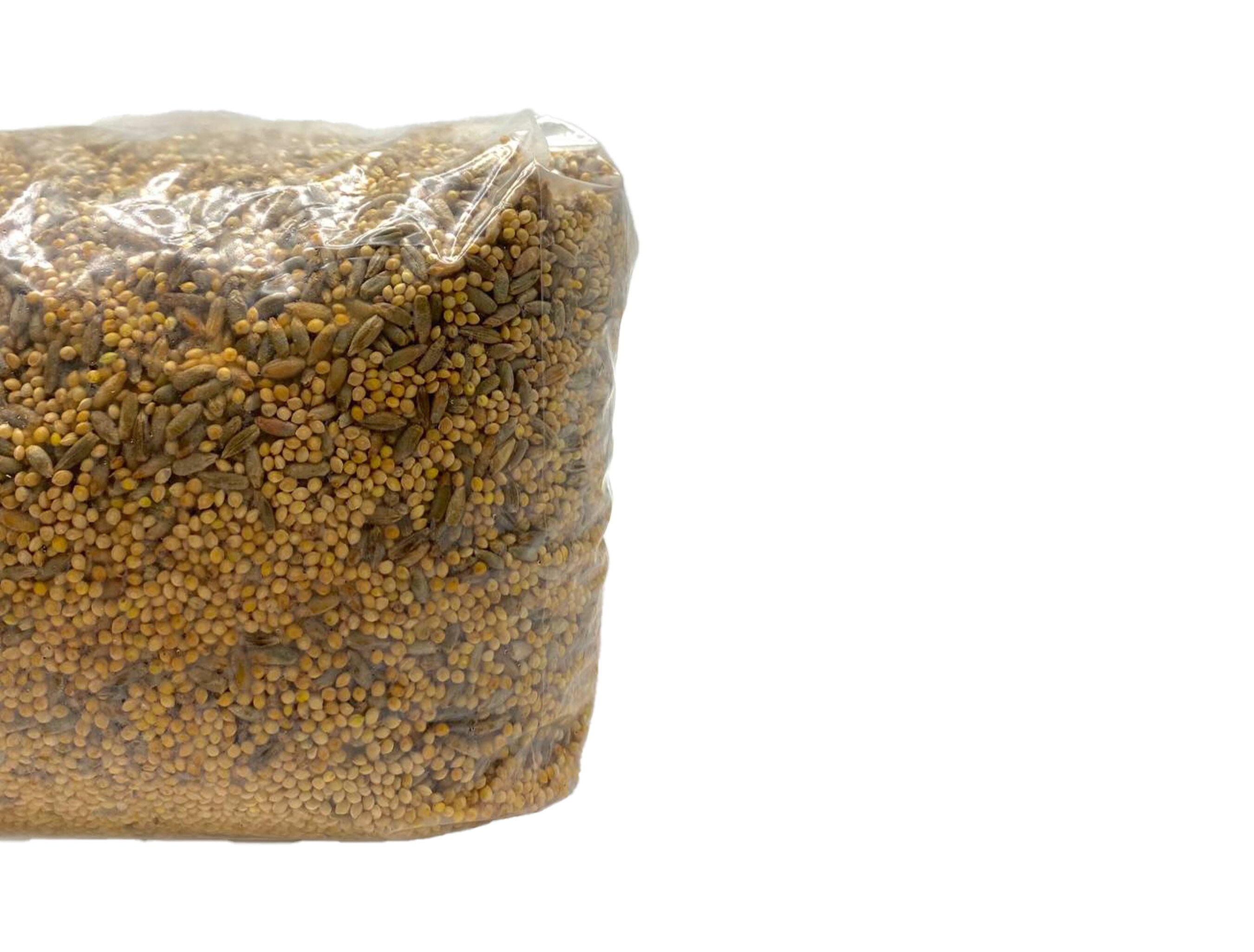 3lb Grain Spawn Bag Sterilized Millet and Rye Grain Spawn Bags With