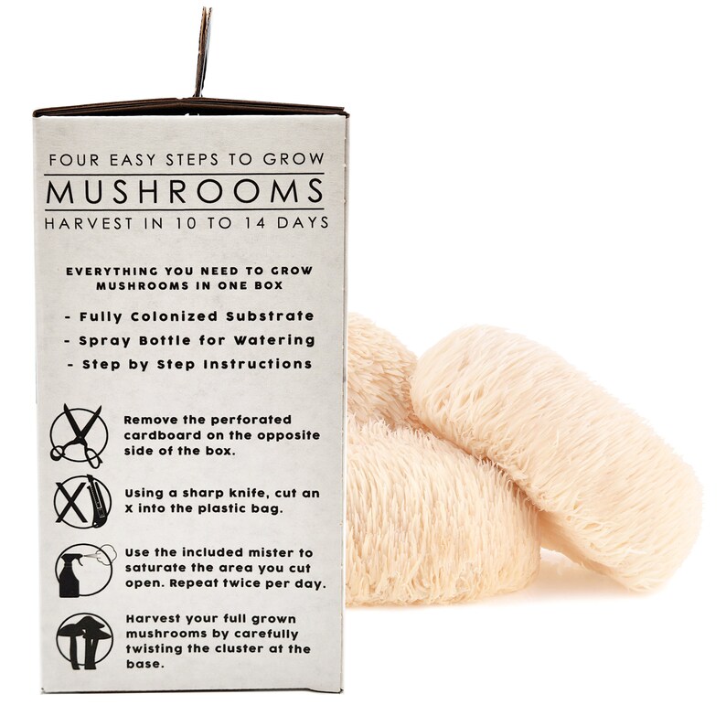 Lion's Mane Grow Kit Lion Manes Spores, Lion Mane Spawn, Sawdust