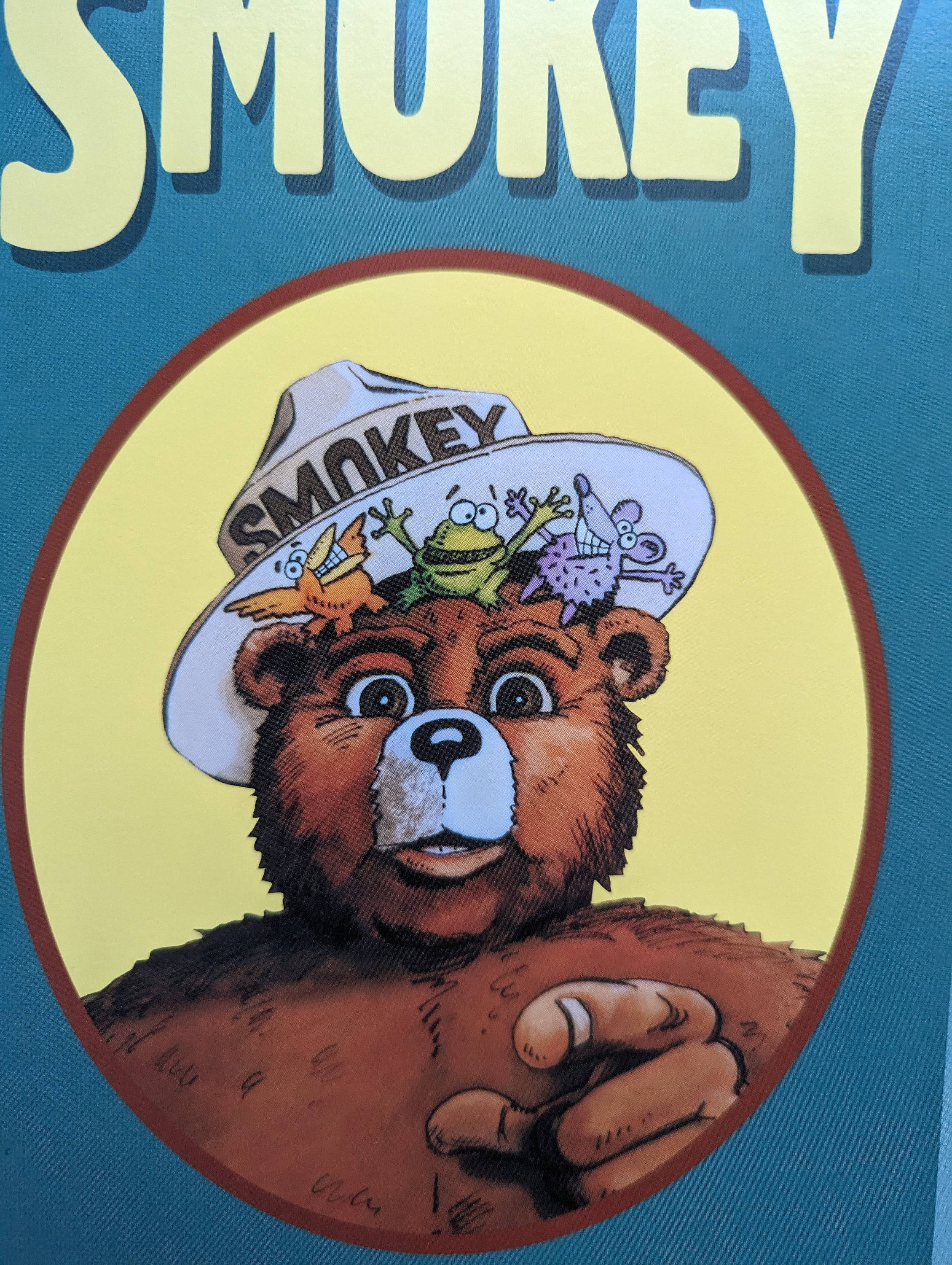 Vintage Smokey Bear Posters lot of 3 - Etsy