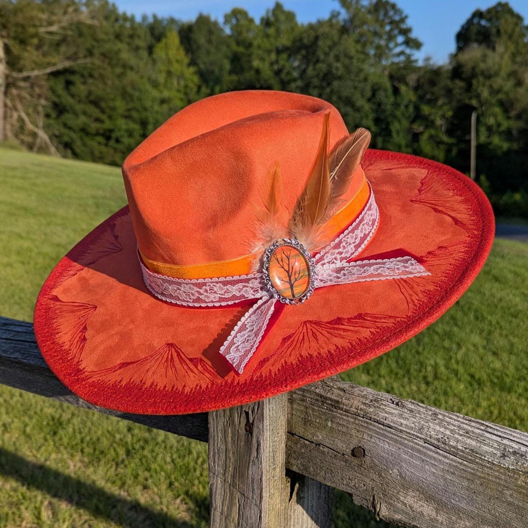 Mountain Burnt Hat, Fedora Hat With Feathers, Embellished  display picture 2