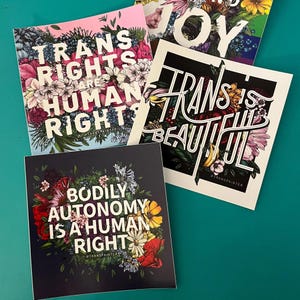 Bodily Autonomy Vinyl Sticker: Feminist Protest Art - Rainbow Floral image 13