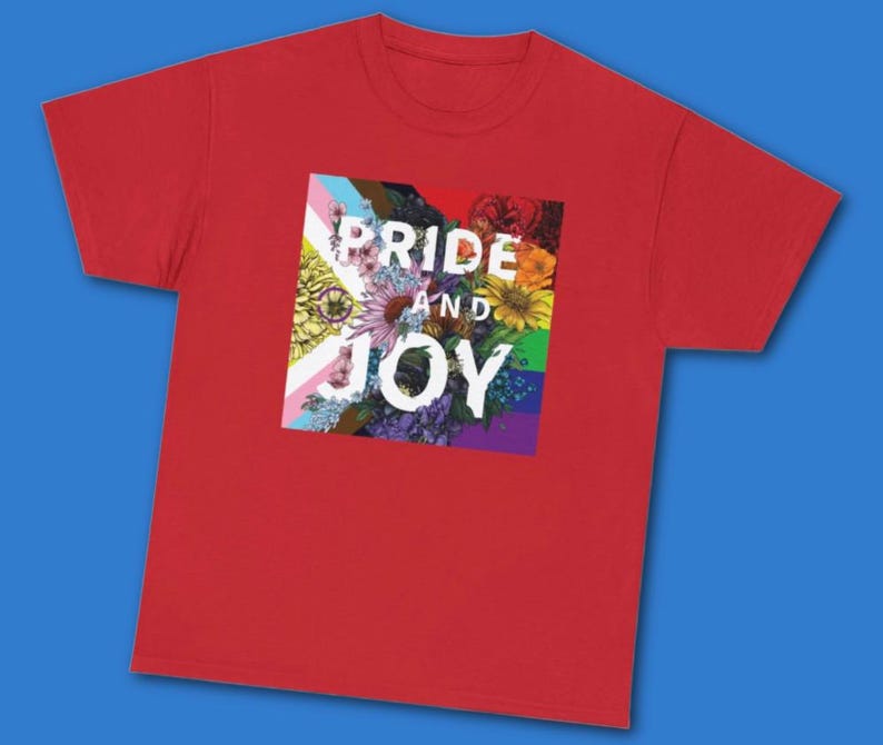 SALE: Pride & Joy Youth T-Shirt | LGBTQ Pride Shirts for Youth | Youth Size Pride Apparel | LGBTQ Pride Parade TShirt image 12