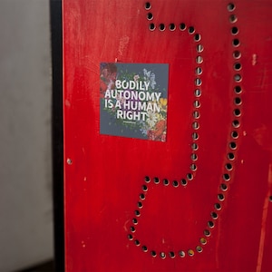 Bodily Autonomy Is A Human Right Sticker | Trans Lives Matter | Transgender Rights | Trans Bumper Sticker | Protect Trans | Trans Rights