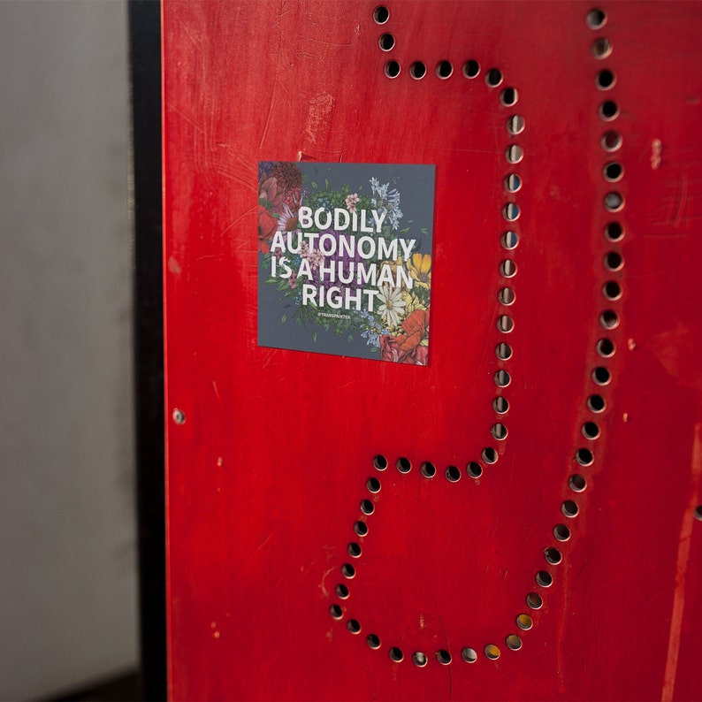 Bodily Autonomy Is A Human Right Sticker | Trans Lives Matter | Transgender Rights | Trans Bumper Sticker | Protect Trans | Trans Rights