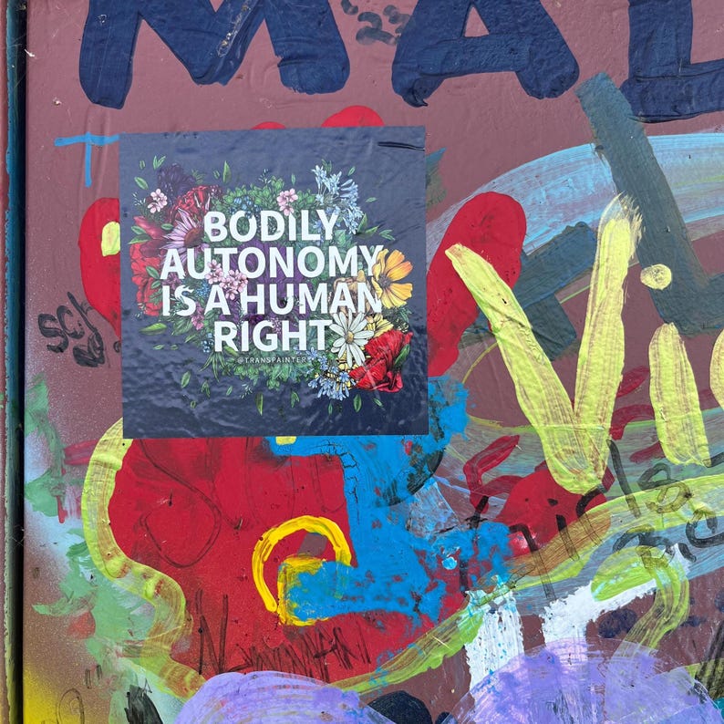Bodily Autonomy Vinyl Sticker: Feminist Protest Art - Rainbow Floral image 18