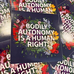 Bodily Autonomy Is A Human Right Sticker | Trans Lives Matter | Transgender Rights | Trans Bumper Sticker | Protect Trans | Trans Rights