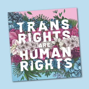 Trans Rights Are Human Rights Sticker | Trans Right Sticker | Trans Sticker | Festival Sticker | Transgender Sticker