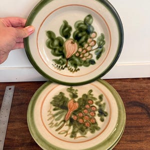 May include: Set of ceramic plates with a cream-colored center, a green border, and a reddish-brown accent ring. Each plate features a hand-painted design of grapes, leaves, and a fruit in shades of green, orange, and brown.
