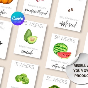 PLR, weiterverkaufen, Schwangerschaft Meilensteine x37 Karten Obst und Gemüse, Gemüse, Früchte, einfach, Aquarell, druckbar, kommerzielle Nutzung, Canva bearbeiten