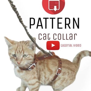 Könnte beinhalten: Ein braunes Lederkatzenhalsband mit einer Leine. Die Katze ist ein hellorangener Tiger mit weißen Abzeichen. Das Bild enthält den Text "PATTERN cat collar" und ein Play-Button-Symbol mit dem Text "tutorial video".