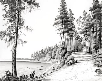 Where Forest Meets Sea