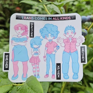 Könnte beinhalten: Ein weißer Aufkleber mit dem Text "TRANS COMES IN ALL KINDS" und Illustrationen von vier Figuren in Rosa und Blau, mit Pronomen. Der Aufkleber ist von grünen Blättern und Blaubeeren umgeben.