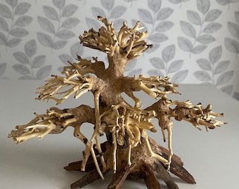 6” Octopus Tree Wood- Amazing for Aquascaping freshwater aquariums!