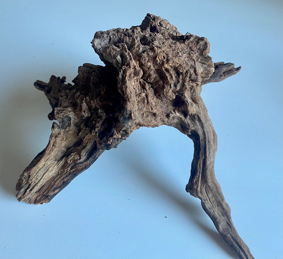 Pacific Driftwood boil And/or Secure With Rocks to Sink in Aquarium