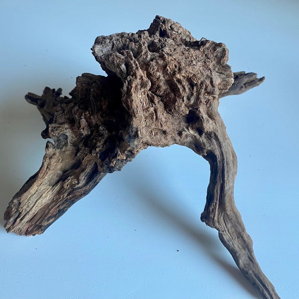 Pacific Driftwood - (Boil and/or secure with rocks to sink in aquarium) Decor for Aquascaping Fish Tanks or for Reptile Terrariums - 8-12”
