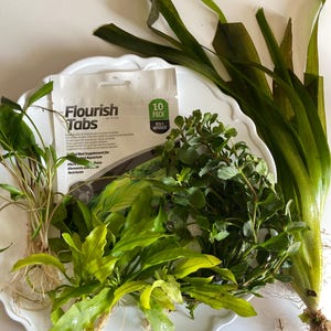 May include: A collection of various green aquatic plants with visible roots and a white packet labeled Flourish Tabs 10 Pack. The plants include long, thin, dark green leaves, shorter broad-leafed varieties, and dense, leafy stems arranged together.