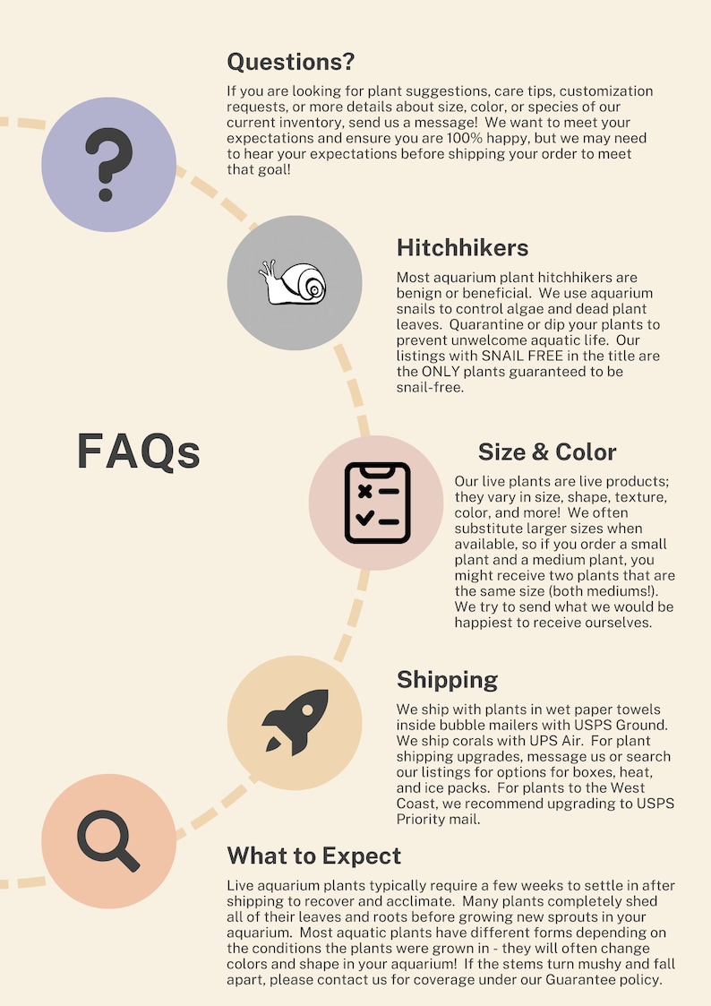 Pode incluir: Gr&aacute;fico informativo com o t&iacute;tulo "FAQs" e v&aacute;rios &iacute;cones circulares com texto. Os t&oacute;picos incluem perguntas, caronas, tamanho e cor e o que esperar. A imagem foi projetada para fornecer informa&ccedil;&otilde;es sobre plantas aqu&aacute;ticas vivas.