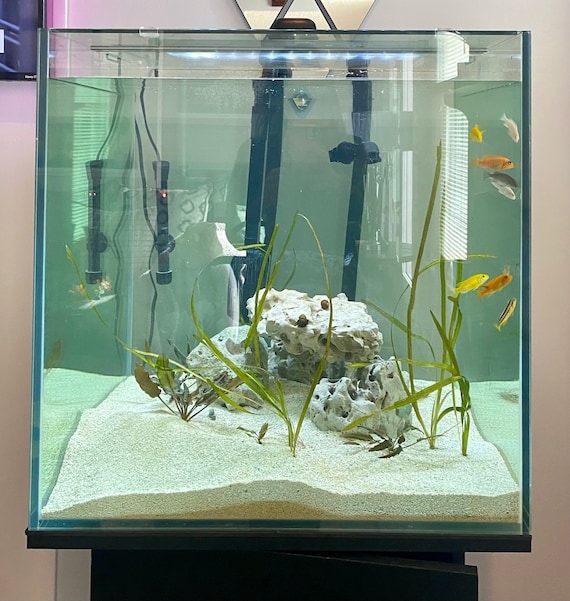 60-75 Gallon+ Freshwater African Cichlid Aquarium Free Delivery