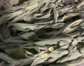 Hojas de salvia orgánica liofilizadas – Hierba culinaria de larga duración