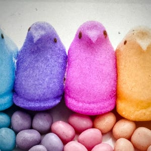 Freeze Dried Marshmallow Peeps: assorted Flavors -also Vegan Chicks, Fat-Free Snack gluten free