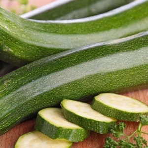 Freeze dried Zucchini- courgette baby marrow - freeze dried organic ripe raw zucchini slices- organic freeze dried zucchini slices