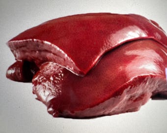 Freeze Dried Beef Liver Dog Treats: Raw Superfood, Natural grass fed