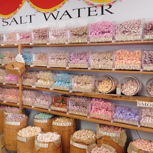 Freeze Dried salt water Taffy 5x7 bags -freeze dried salt water taffy crispy and airy -freeze dried snacks-3 bags just 18 dollars