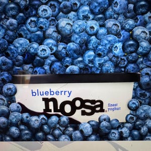Yogurt Bites- Snack size creamy yogurt - Freeze dried yogurt- freeze dried noosa super creamy healthy snacking anywhere no refrigeration